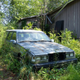 Illustration for article titled A Michigan Town Is Forcing This Man To Sell 20 Old Cars Off His Property Every Month